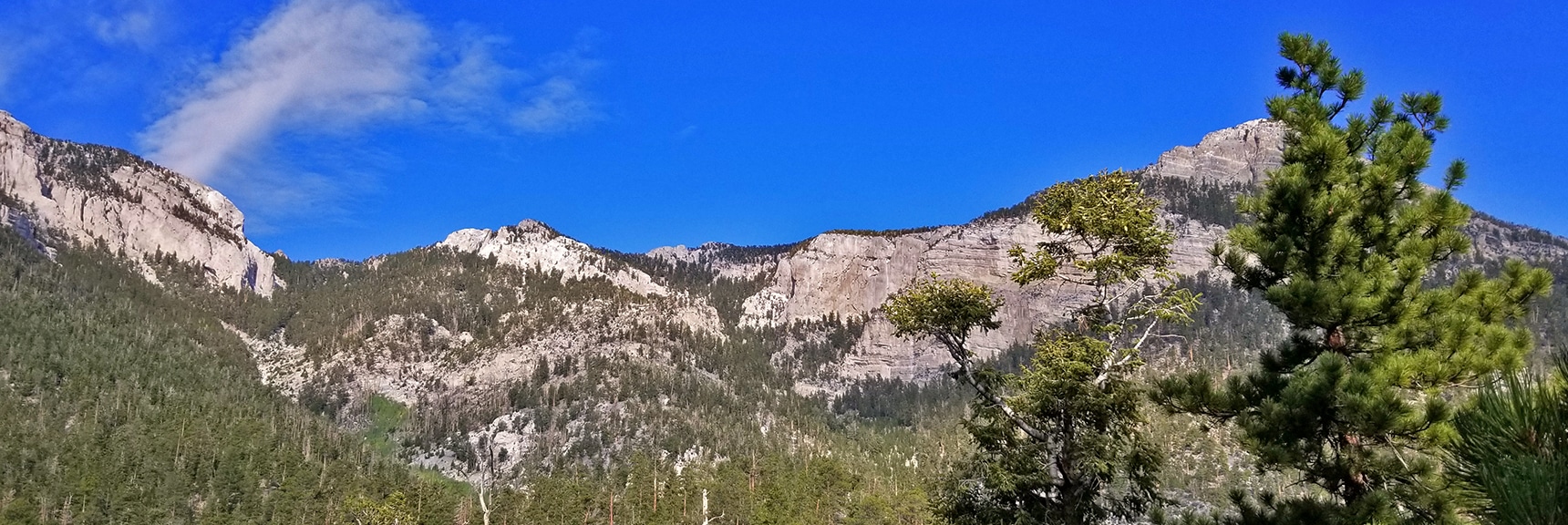 Looking Back at Mummy's Head Area for Climbing Route Ideas | Deer Creek Rd - Mummy Cliffs - Mummy Springs - Raintree - Fletcher Peak - Cougar Ridge Trail Circuit | Mt Charleston Wilderness | Spring Mountains, Nevada