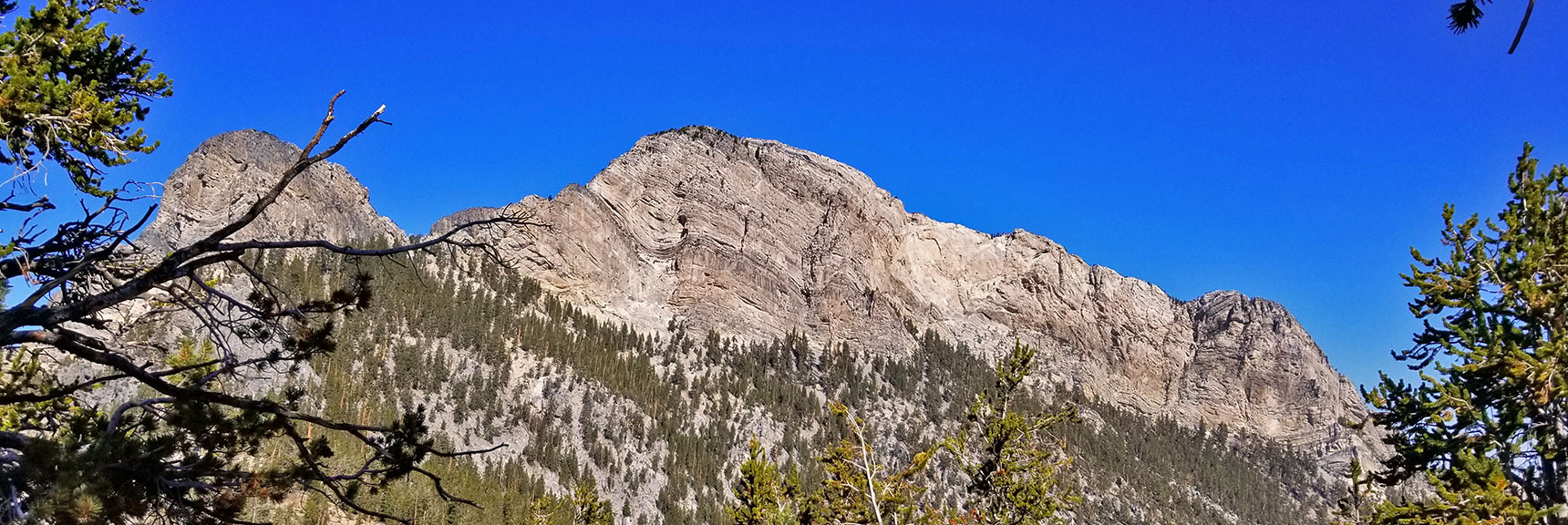 McFarland Peak Viewed from the Bonanza Trail | Bonanza Peak from Lee Canyon via the Lower Bristlecone Pine Trail and Bonanza Trail | Spring Mountains, Nevada
