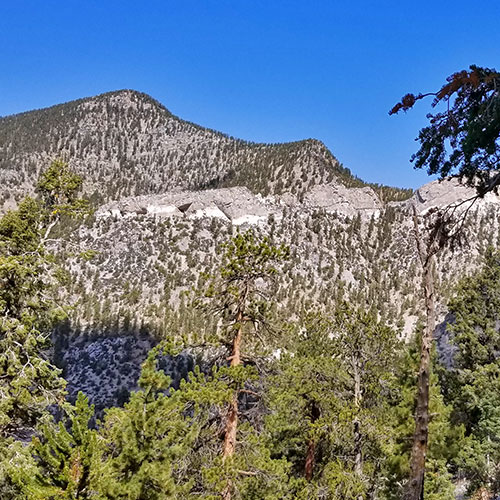Bonanza Peak from Lee Canyon via the Lower Bristlecone Pine Trail and Bonanza Trail | Spring Mountains, Nevada