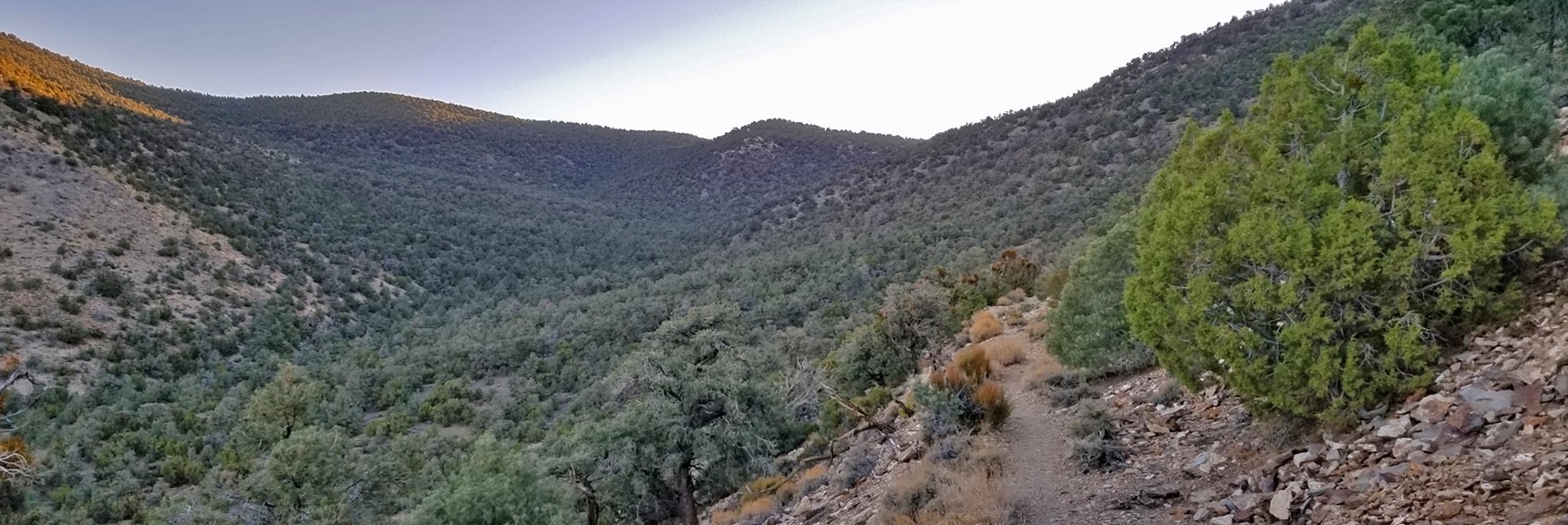 View Up Canyon Trail Approach Toward Panamint Range Summit Ridge | Wildrose Peak | Panamint Mountain Range | Death Valley National Park, California