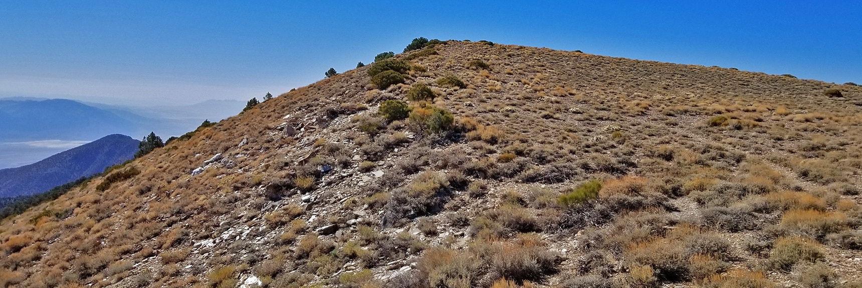View of Mid Summit from Wildrose Peak Northern Summit Area | Wildrose Peak | Panamint Mountain Range | Death Valley National Park, California