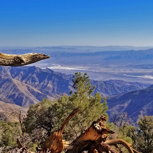 Wildrose Peak | Death Valley, California