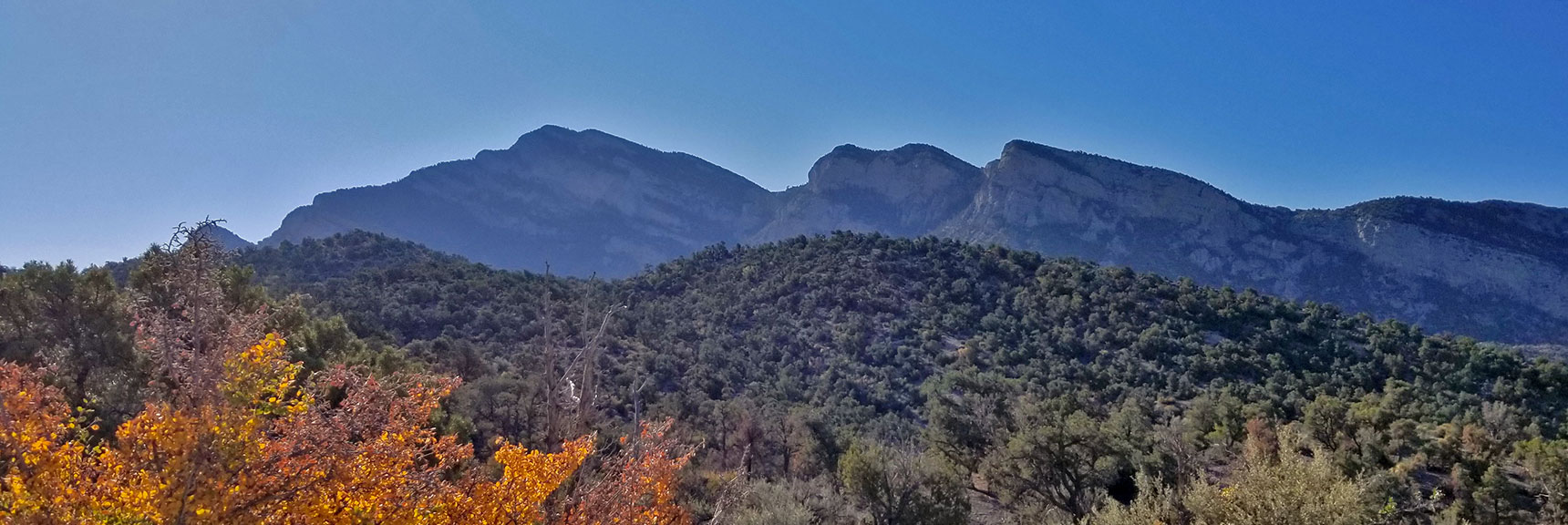 Potosi Mountain Summit Cliffs from Potosi Canyon Road | Potosi Mountain Northwestern Approach, Spring Mountains, Nevada