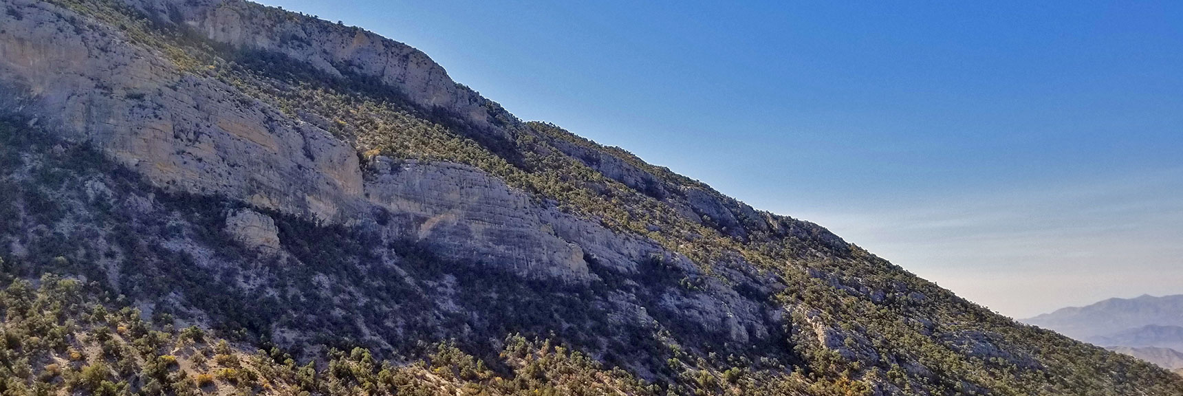 Beginning of Potosi Summit Ridge Just Past Potosi Spring Area | Potosi Mountain Northwestern Approach, Spring Mountains, Nevada