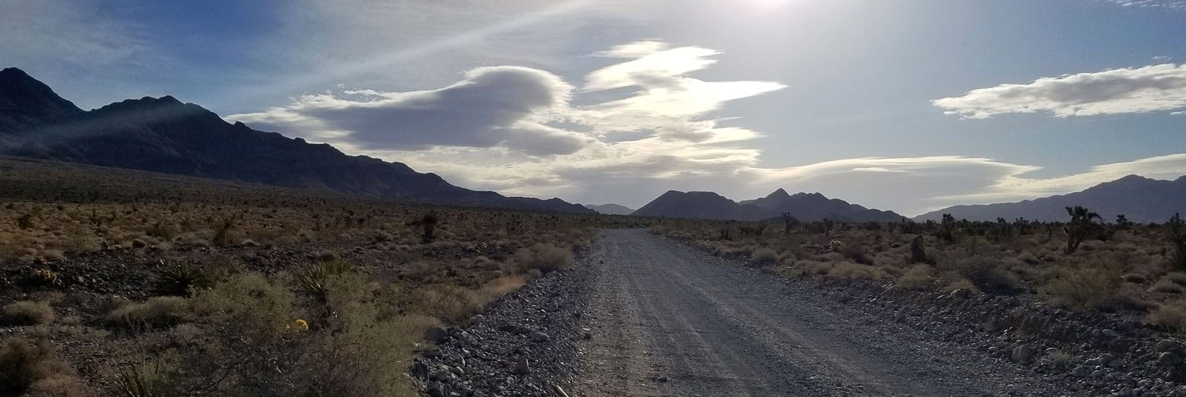 Early Morning View of Mormon Well Road Heading Toward Yucca Gap | Fossil Ridge End to End | Sheep Range | Desert National Wildlife Refuge, Nevada