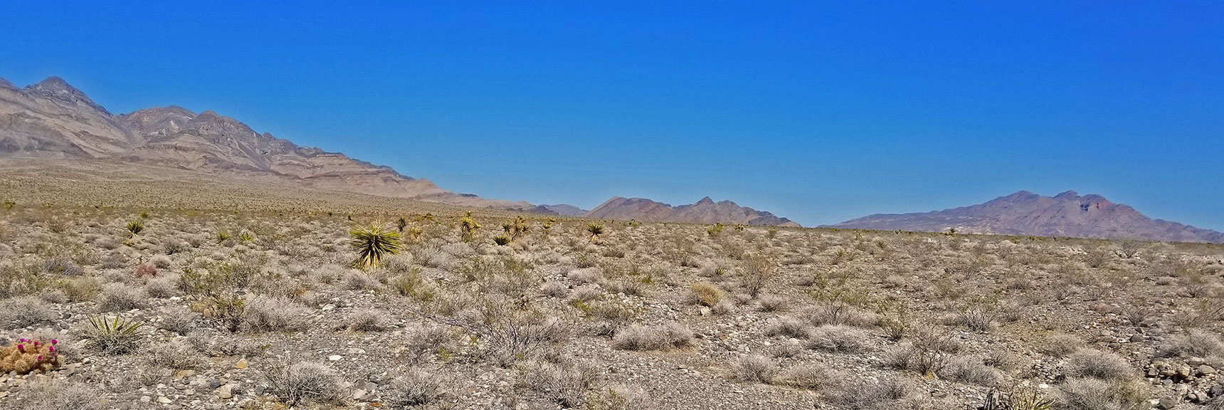 Gass Peak, Yucca Gap and Southern Sheep Range from Mormon Well Road | Fossil Ridge End to End | Sheep Range | Desert National Wildlife Refuge, Nevada