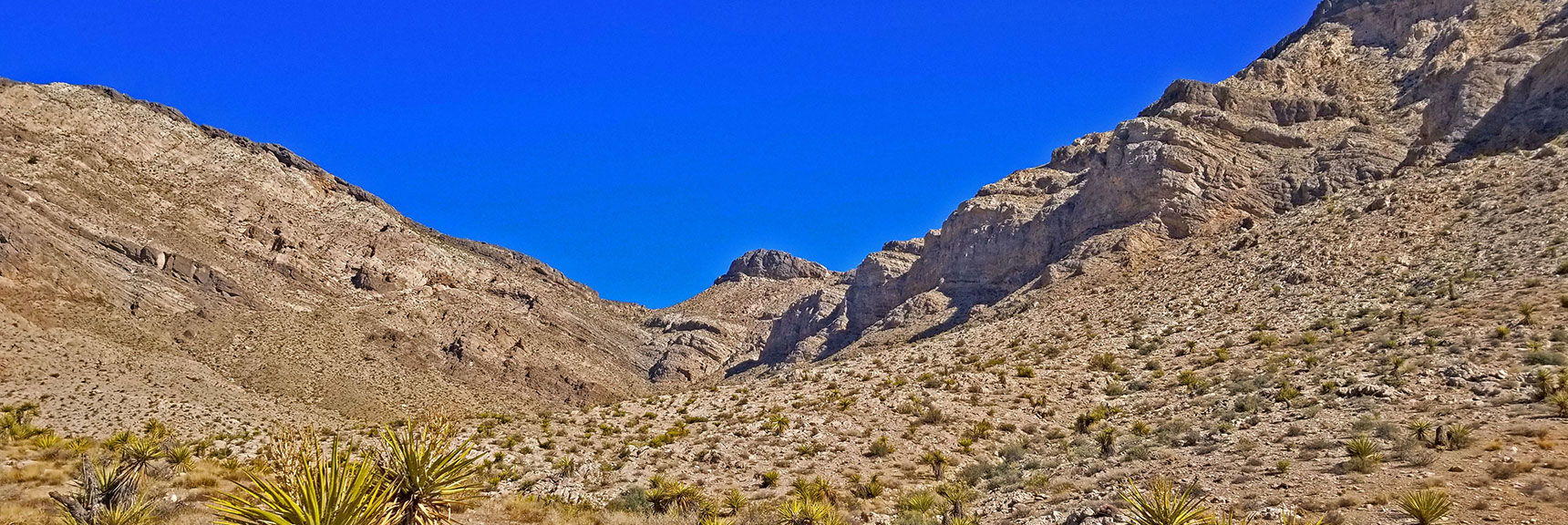 Saddle Approach to West of Cliffs, Looks Hopeful. Will Explore Later. | Little La Madre Mt, Little El Padre Mt, Little Burnt Peak | Near La Madre Mountains Wilderness, Nevada