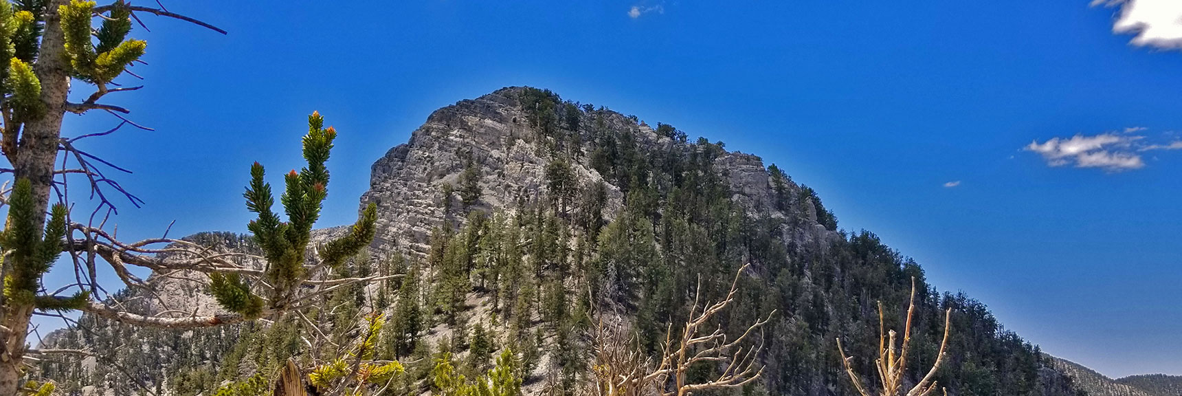 Closer View of the North Side of Sisters North | Black Rock Sister | Mt Charleston Wilderness | Lee Canyon | Spring Mountains, Nevada