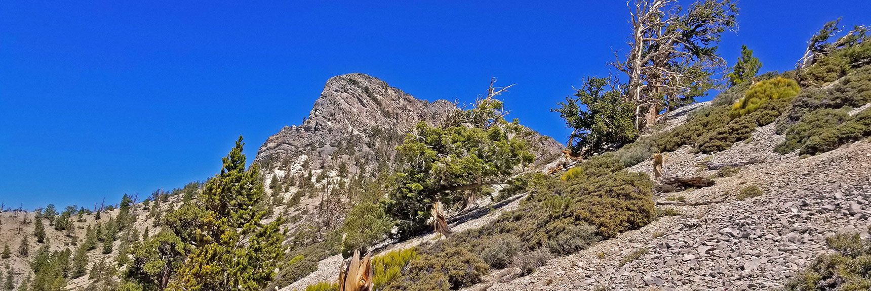 Note Faint Trail, Some Cairns, But Just Stay on the Approach Ridge| Macks Peak | Mt Charleston Wilderness | Spring Mountains, Nevada