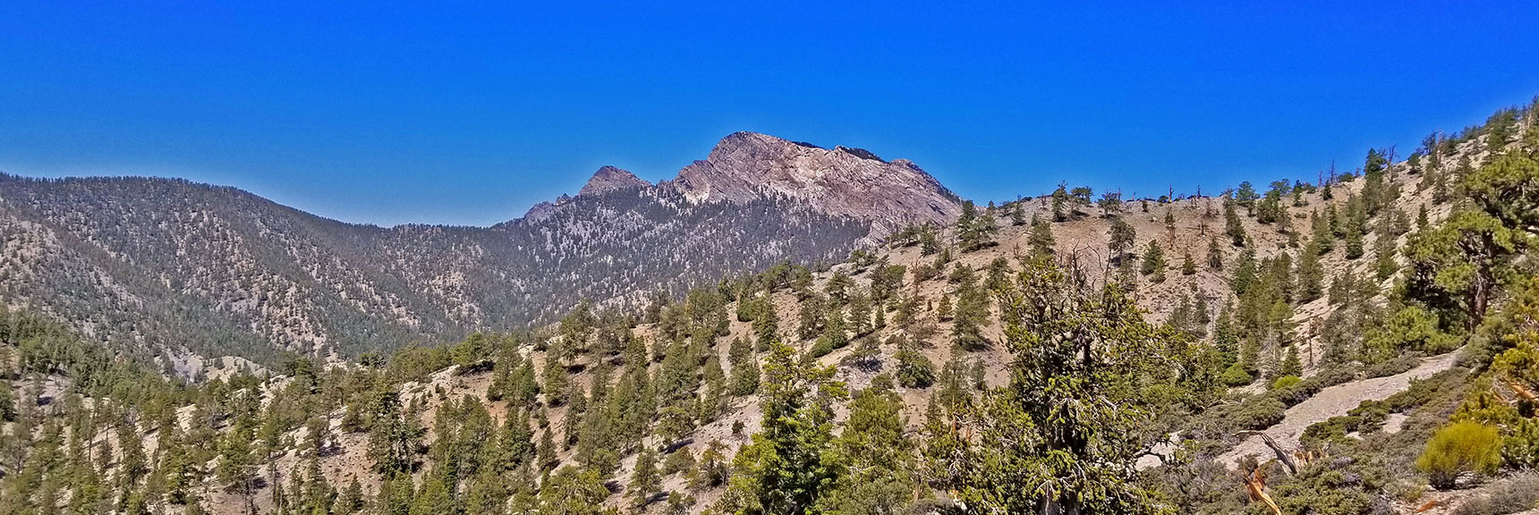 Higher Elevation View of the Sisters Peaks | Macks Peak | Mt Charleston Wilderness | Spring Mountains, Nevada