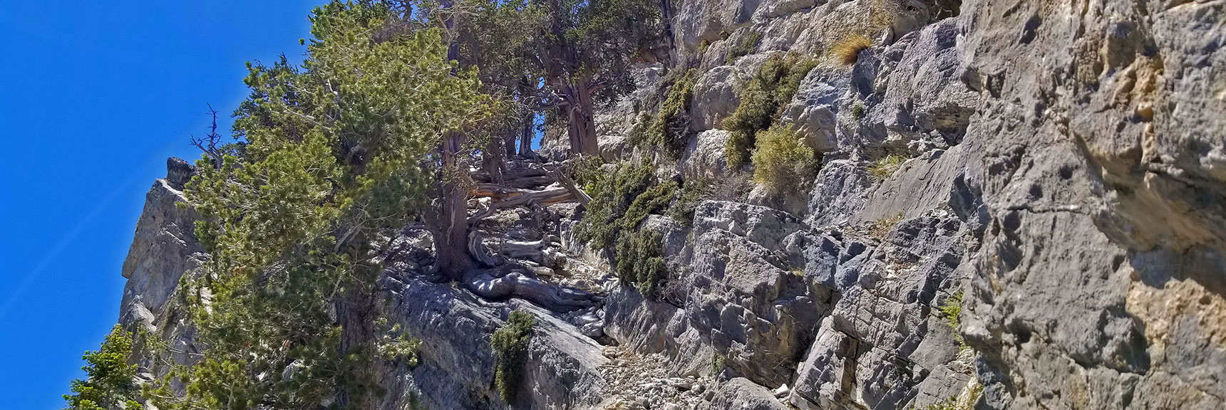 View Up Final Approach Ledge. Will Return in the September/October | Macks Peak | Mt Charleston Wilderness | Spring Mountains, Nevada