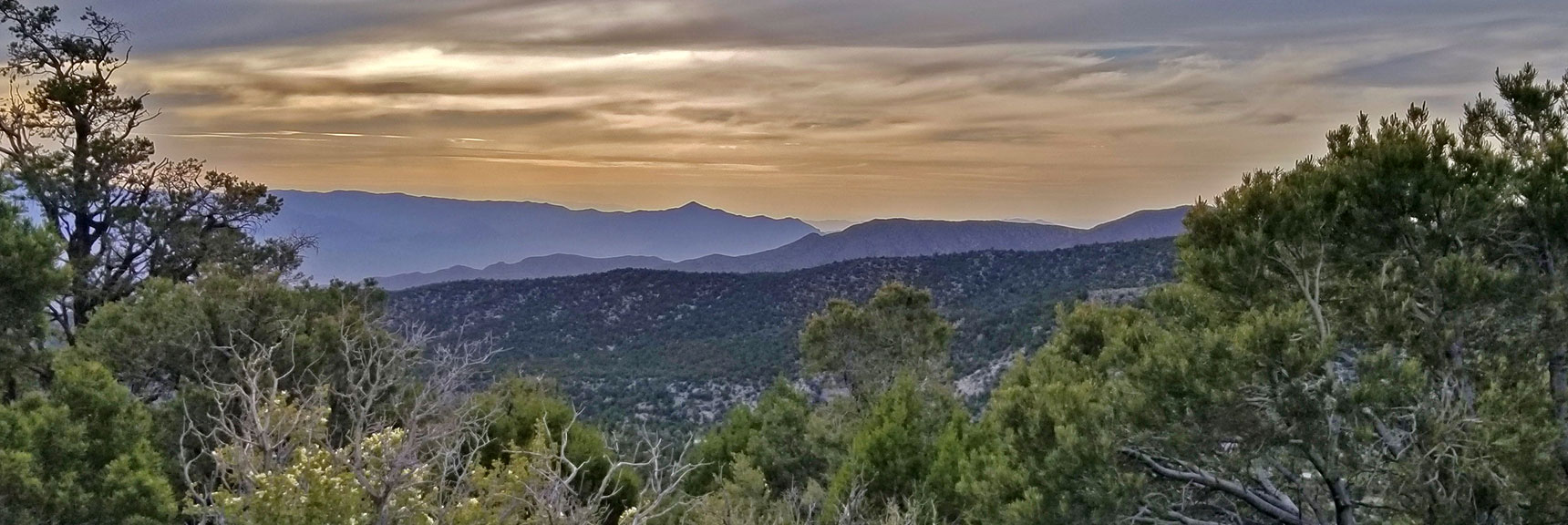 Gass Peak (center) Viewed from High Ridge. | Pinyon Pine Loop Trail | Sawmill Trailhead | Lee Canyon | Mt Charleston Wilderness | Spring Mountains, Nevada