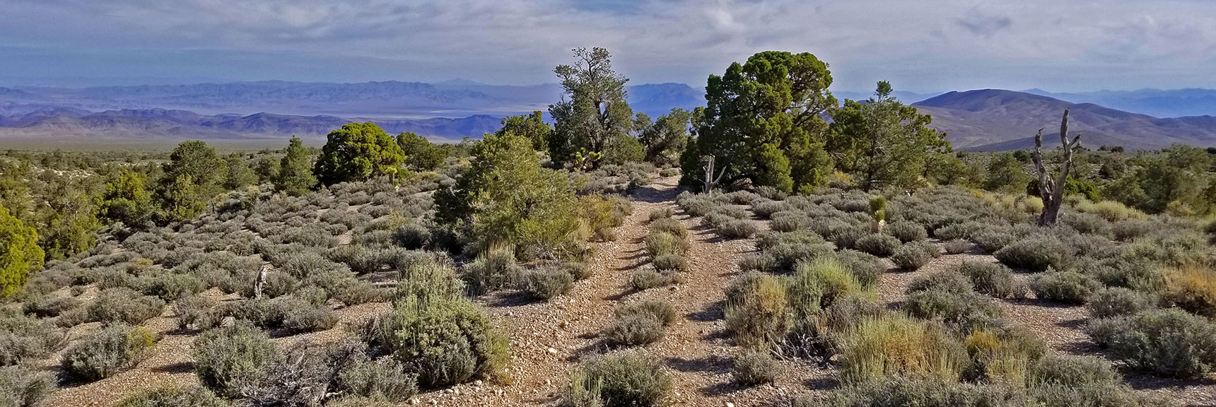 Pinyon Pine Loop is Part Road, Part Trail. | Pinyon Pine Loop Trail | Sawmill Trailhead | Lee Canyon | Mt Charleston Wilderness | Spring Mountains, Nevada