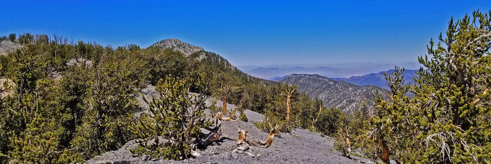 Lee Peak High Point Ahead. Beginning of Descent Ridge to Lee Canyon is Lower Hill to Right. | Lee to Kyle Canyon | Foxtail Approach | Mt Charleston Wilderness | Spring Mountains, Nevada