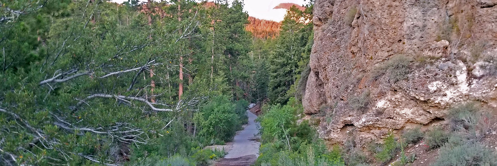 Chosen Ascent Point up Through Deer Creek Picnic Area. | Grand Circuit Loop Cougar Ridge Trail, Mummy Mountain Knees | Mummy Mountain Toe | Mummy Springs | Raintree | Fletcher Peak | Mt Charleston Wilderness | Spring Mountains, Nevada