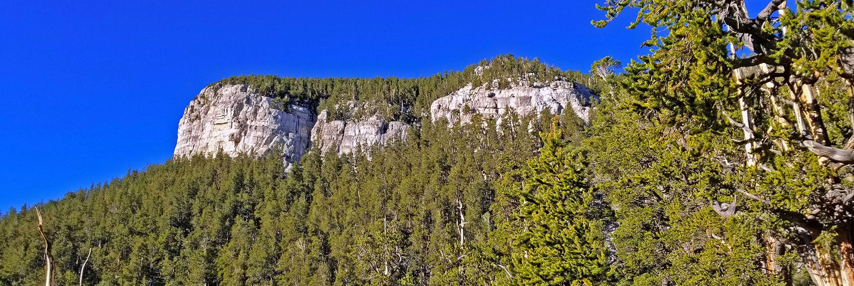 Mummy's Toe Comes into View Near Top of Cougar Ridge Trail. | Grand Circuit Loop Cougar Ridge Trail, Mummy Mountain Knees | Mummy Mountain Toe | Mummy Springs | Raintree | Fletcher Peak | Mt Charleston Wilderness | Spring Mountains, Nevada