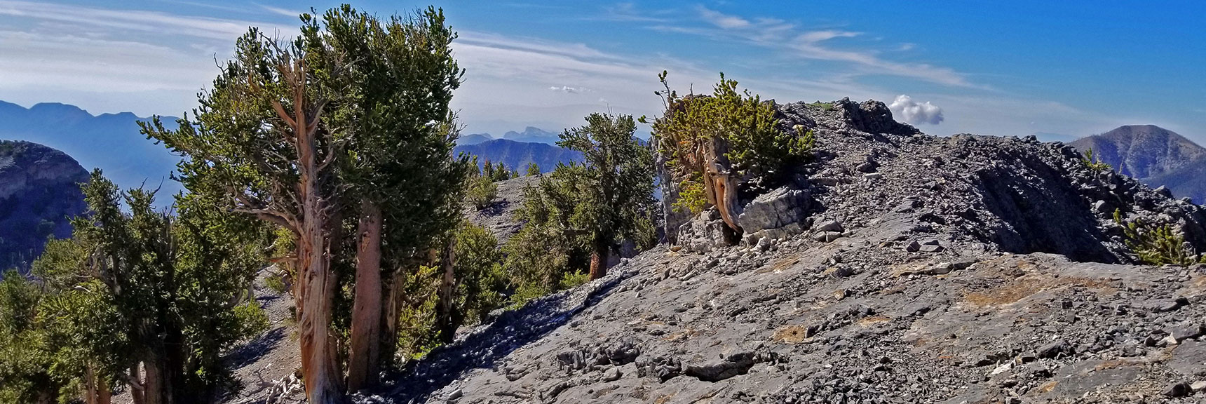 Limestone Ledge at the Edge of Mummy's Knees Overlooks Kyle Canyon, Charleston Peak. | Grand Circuit Loop Cougar Ridge Trail, Mummy Mountain Knees | Mummy Mountain Toe | Mummy Springs | Raintree | Fletcher Peak | Mt Charleston Wilderness | Spring Mountains, Nevada