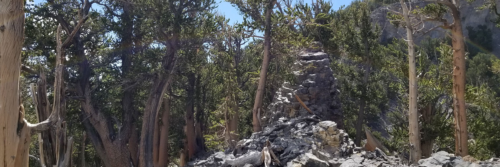 Limestone Brick Pillar Created by Nature? How? | Grand Circuit Loop Cougar Ridge Trail, Mummy Mountain Knees | Mummy Mountain Toe | Mummy Springs | Raintree | Fletcher Peak | Mt Charleston Wilderness | Spring Mountains, Nevada