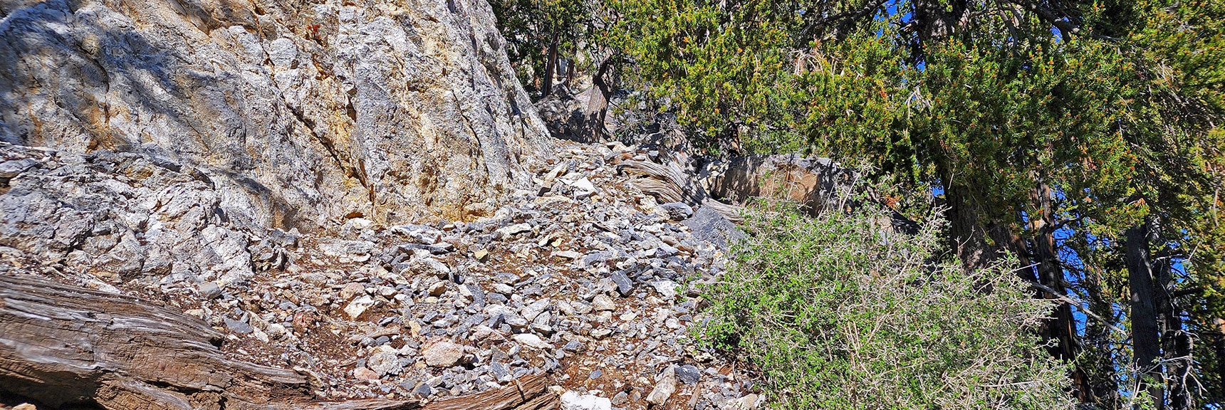 Ascend to Right of Rock Wall for Final Approach | Sisters North | Lee Canyon | Mt Charleston Wilderness | Spring Mountains, Nevada