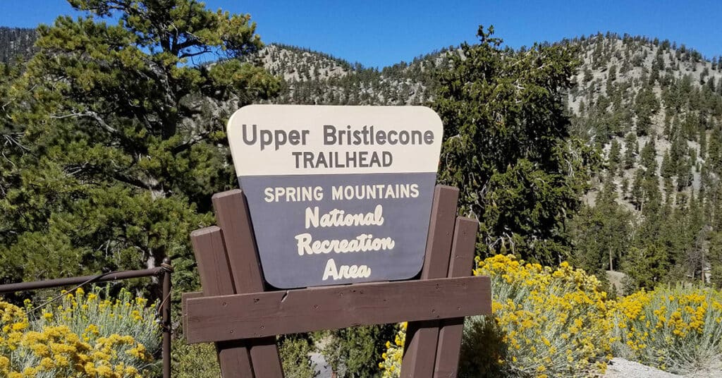 Bristlecone Pine Trail | Mt Charleston Wilderness | Spring Mountains, Nevada