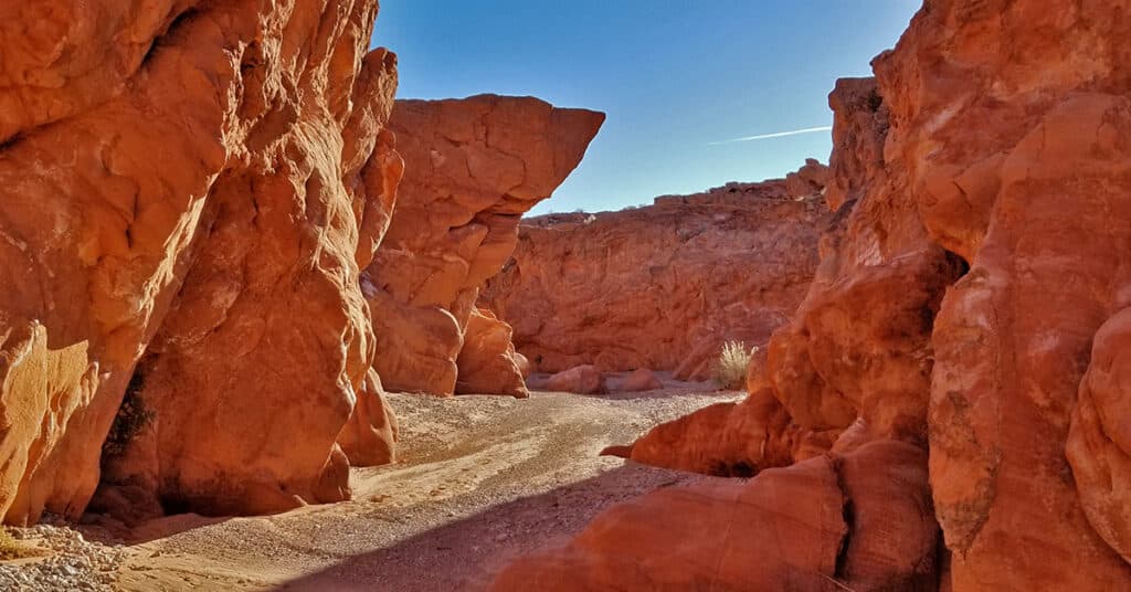 Charlies Spring Trail | Valley of Fire State Park, Nevada