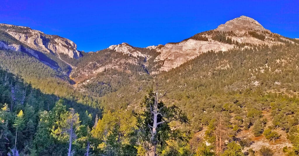 Mummy Mountain’s Head from Deer Creek Rd | Mt. Charleston Wilderness | Spring Mountains, Nevada