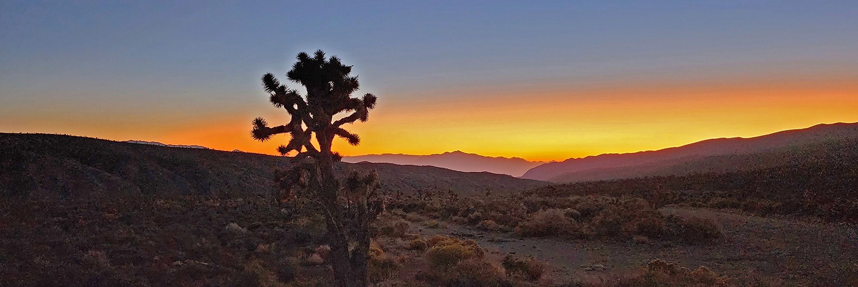 Joshua Tree Silhouette, Gass Peak Background During Atmospheric Sunrise | Kyle Canyon Grand Crossing | Northern Half | La Madre Mountains Wilderness, Nevada