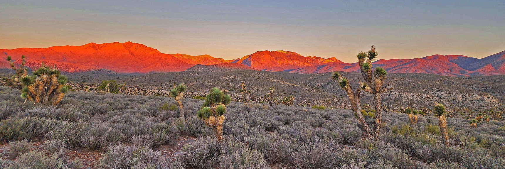 Advancing Sunrise Shifts Coloring by the Minute in Mt. Charleston Wilderness Peaks | Kyle Canyon Grand Crossing | Northern Half | La Madre Mountains Wilderness, Nevada