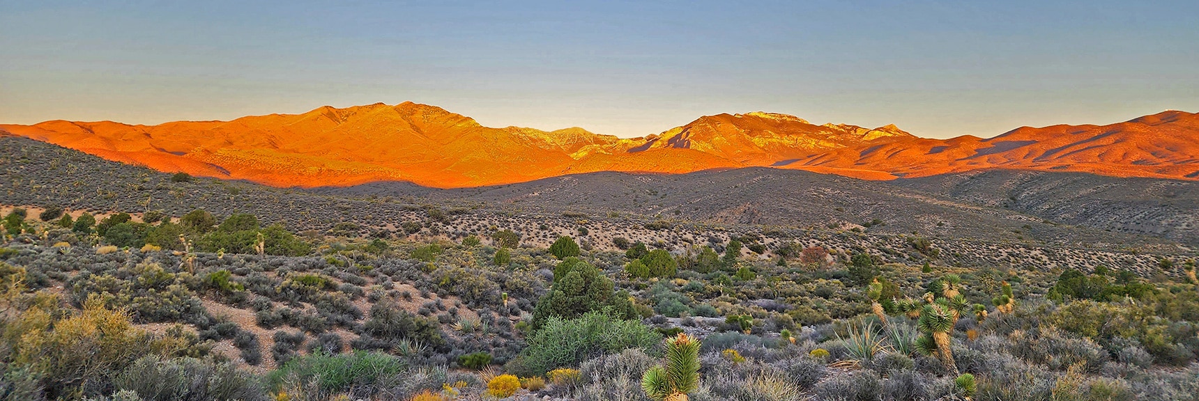 Mt Charleston Continues to Change Color in the Rising Sun | Kyle Canyon Grand Crossing | Northern Half | La Madre Mountains Wilderness, Nevada