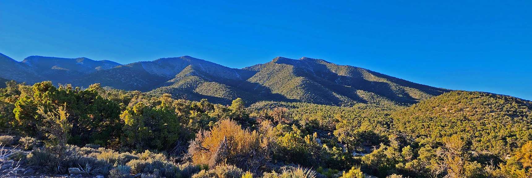 Burnt Peak to Left, El Bastardo to Right. Saddle Between is Destination | Kyle Canyon Grand Crossing | Northern Half | La Madre Mountains Wilderness, Nevada