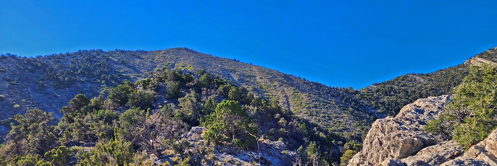 View Up Burnt Peak Approach Ridge Toward Burnt Peak and Saddle to Right | Kyle Canyon Grand Crossing | Northern Half | La Madre Mountains Wilderness, Nevada