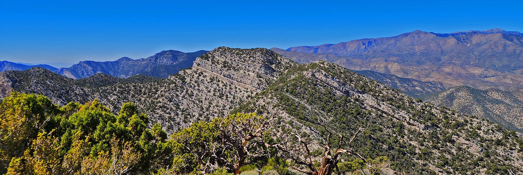 El Bastardo Mt from Burnt Peak Summit. Griffith Peak and Sexton Ridge to Right | Kyle Canyon Grand Crossing | Northern Half | La Madre Mountains Wilderness, Nevada