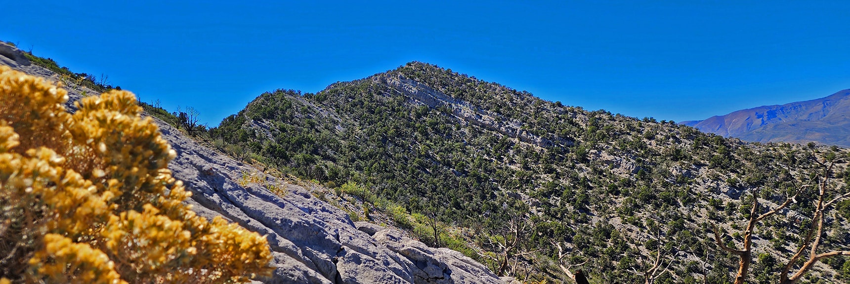 El Bastardo from Burnt Peak Summit | Kyle Canyon Grand Crossing | Northern Half | La Madre Mountains Wilderness, Nevada