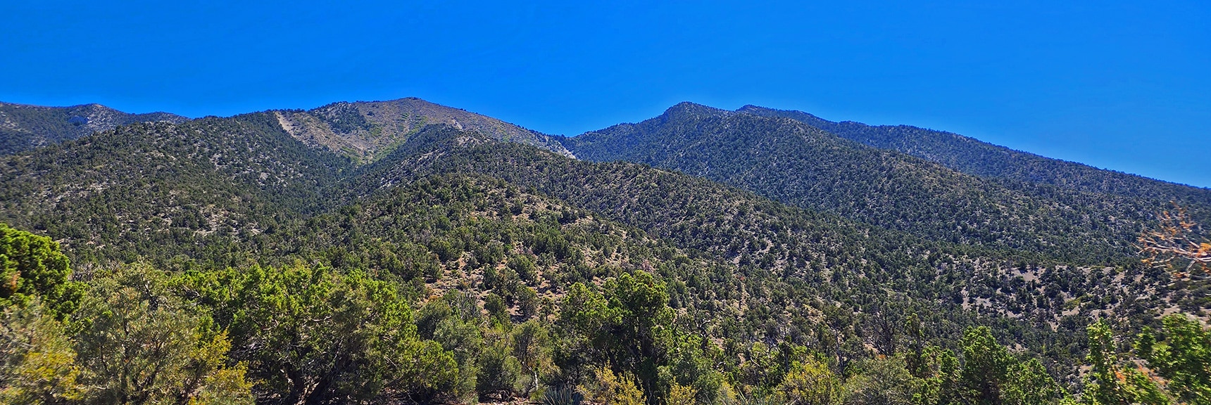Descending 4WD Road, View Back Toward Burnt Peak and El Bastardo Peak | Kyle Canyon Grand Crossing | Northern Half | La Madre Mountains Wilderness, Nevada