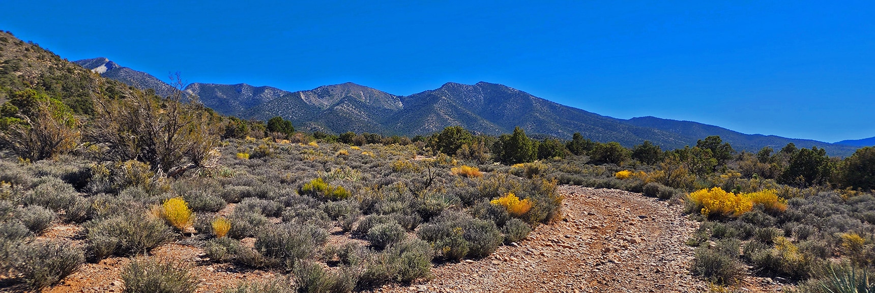 View from 4WD Road Back Toward La Madre Mountains and High Saddle Achieved | Kyle Canyon Grand Crossing | Northern Half | La Madre Mountains Wilderness, Nevada