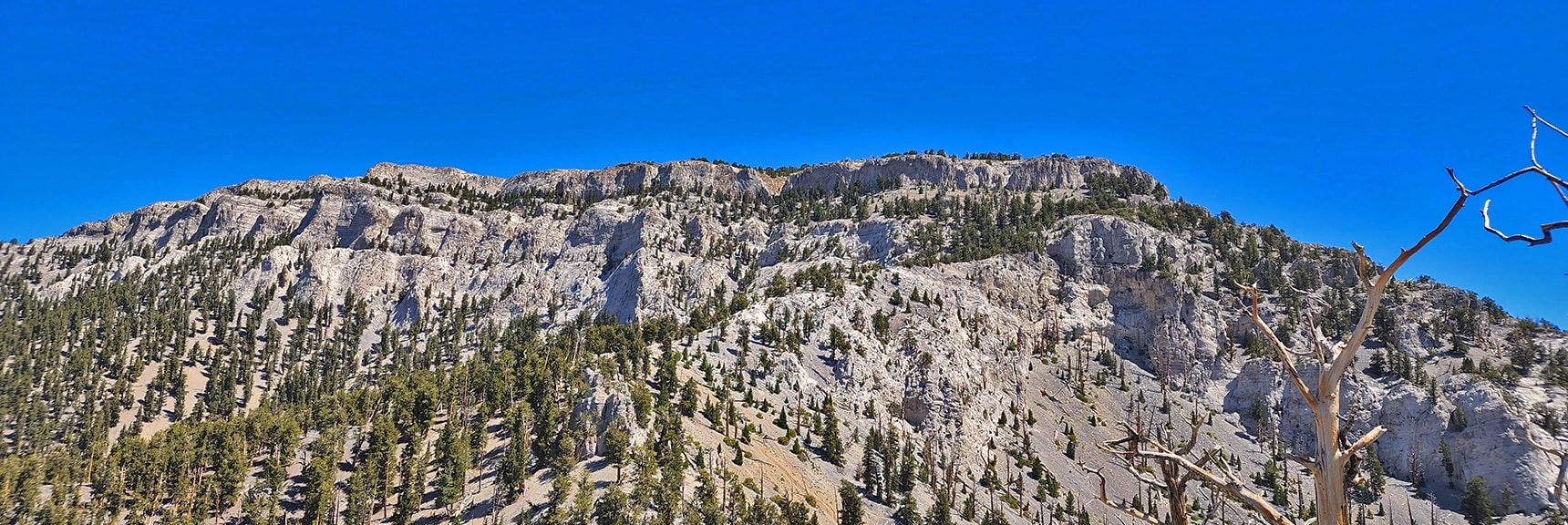 Mummy Mountain Viewed from the Lee/Kyle Canyon High Ridge | Mummy Mountain Grand Crossing | Lee Canyon to Deer Creek Road | Mt Charleston Wilderness | Spring Mountains, Nevada |