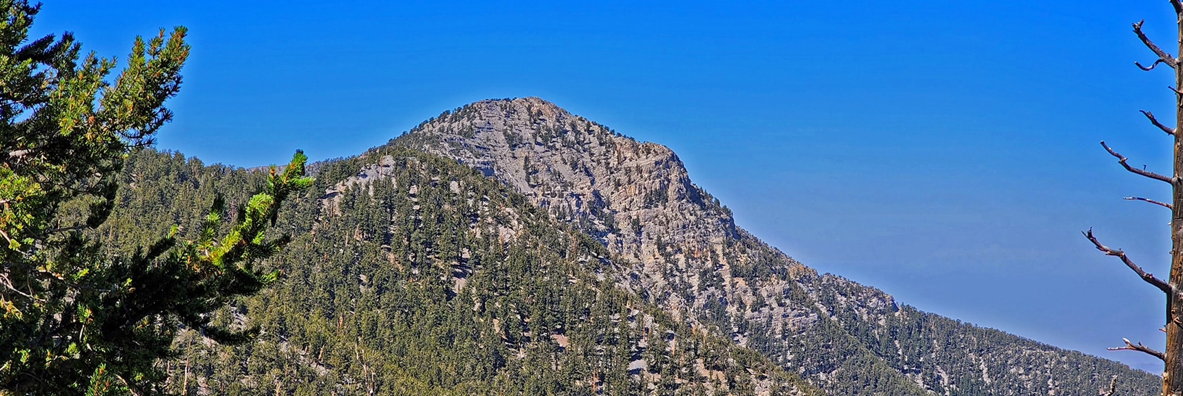Lee Peak from Lee/Kyle Canyon Upper Ridgeline | Mummy Mountain Grand Crossing | Lee Canyon to Deer Creek Road | Mt Charleston Wilderness | Spring Mountains, Nevada |