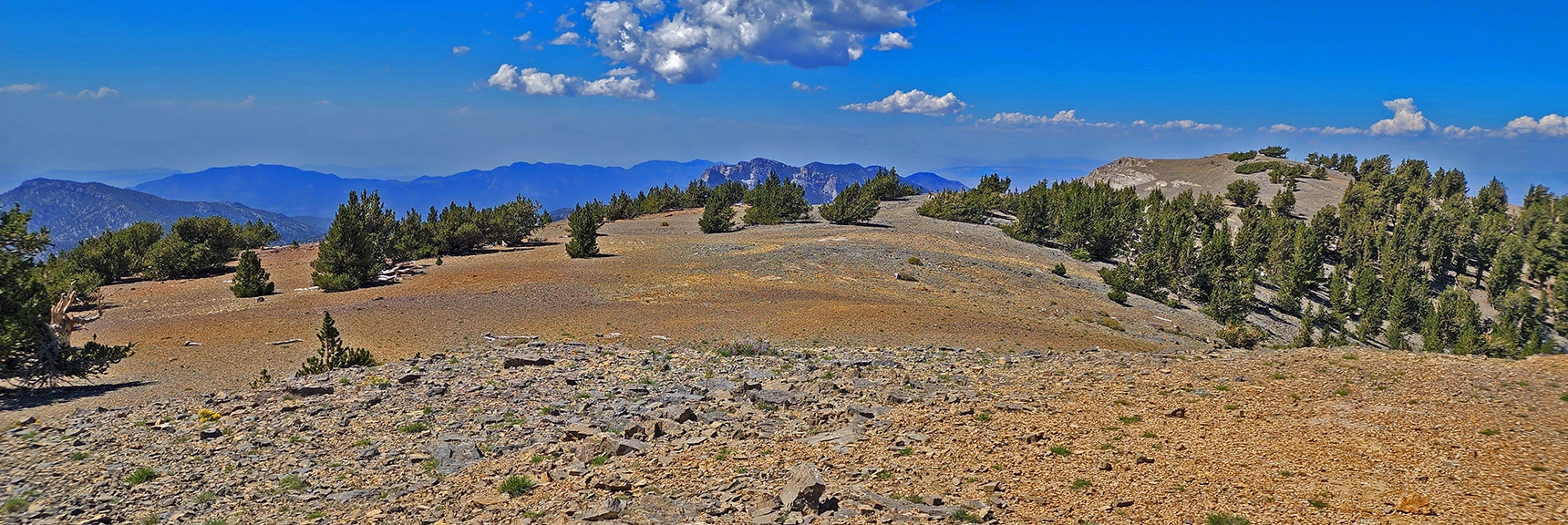 View Toward the Northwestern Portion of Mummy Mountain's Massive Summit | Mummy Mountain Grand Crossing | Lee Canyon to Deer Creek Road | Mt Charleston Wilderness | Spring Mountains, Nevada |