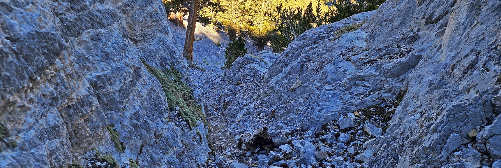 Final Channel Below the Steepest Portion of Descent Chute | Mummy Mountain Grand Crossing | Lee Canyon to Deer Creek Road | Mt Charleston Wilderness | Spring Mountains, Nevada |