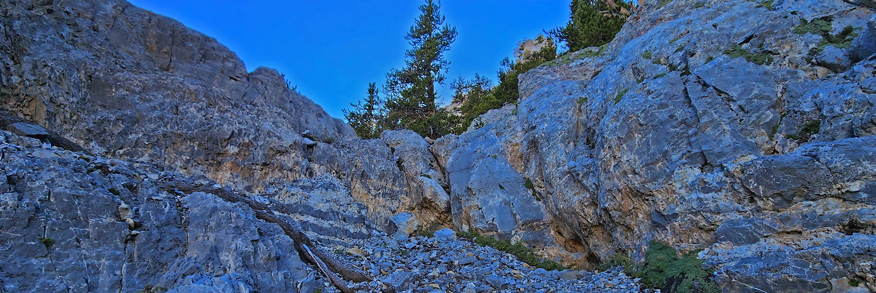 View Up Final Channel Below Steepest Portion of Descent Chute | Mummy Mountain Grand Crossing | Lee Canyon to Deer Creek Road | Mt Charleston Wilderness | Spring Mountains, Nevada |