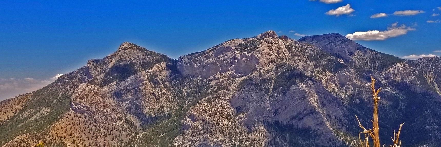 Mummy's Head Area Viewed from Across Lee Canyon Near Sisters North | Mummy Mountain Head from Lee Canyon Road | Mt Charleston Wilderness | Spring Mountains, Nevada
