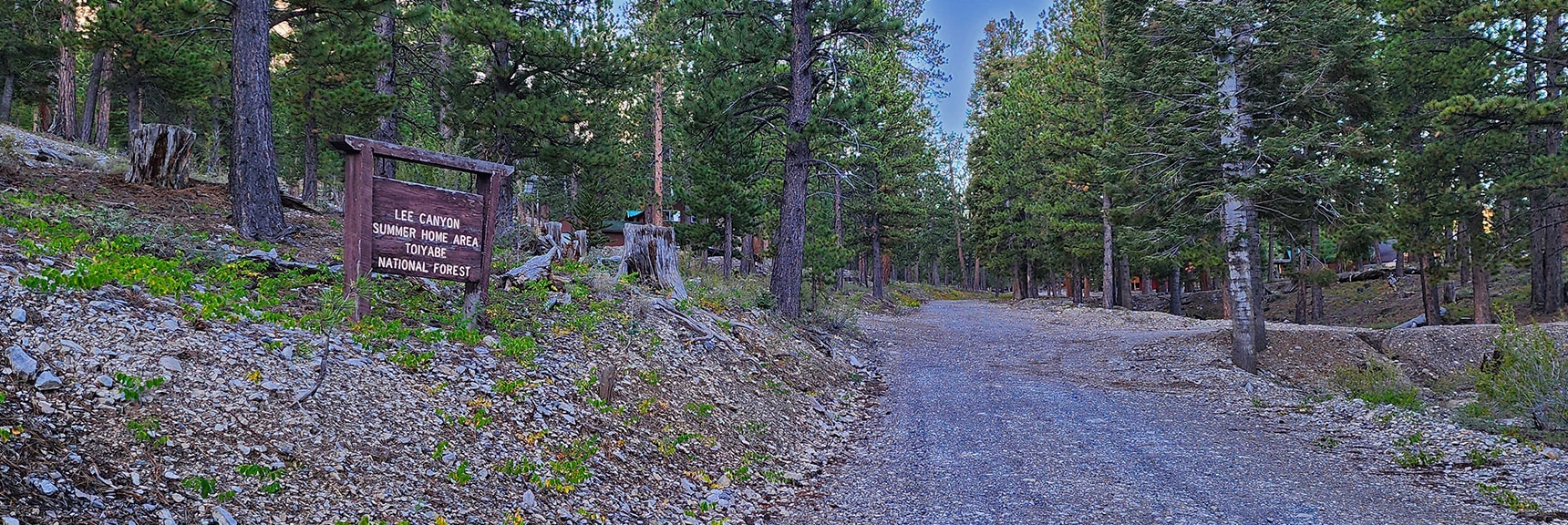 Take the First U-Turn to the Left off Avalanche Trail Road | Mummy Mountain Head from Lee Canyon Road | Mt Charleston Wilderness | Spring Mountains, Nevada
