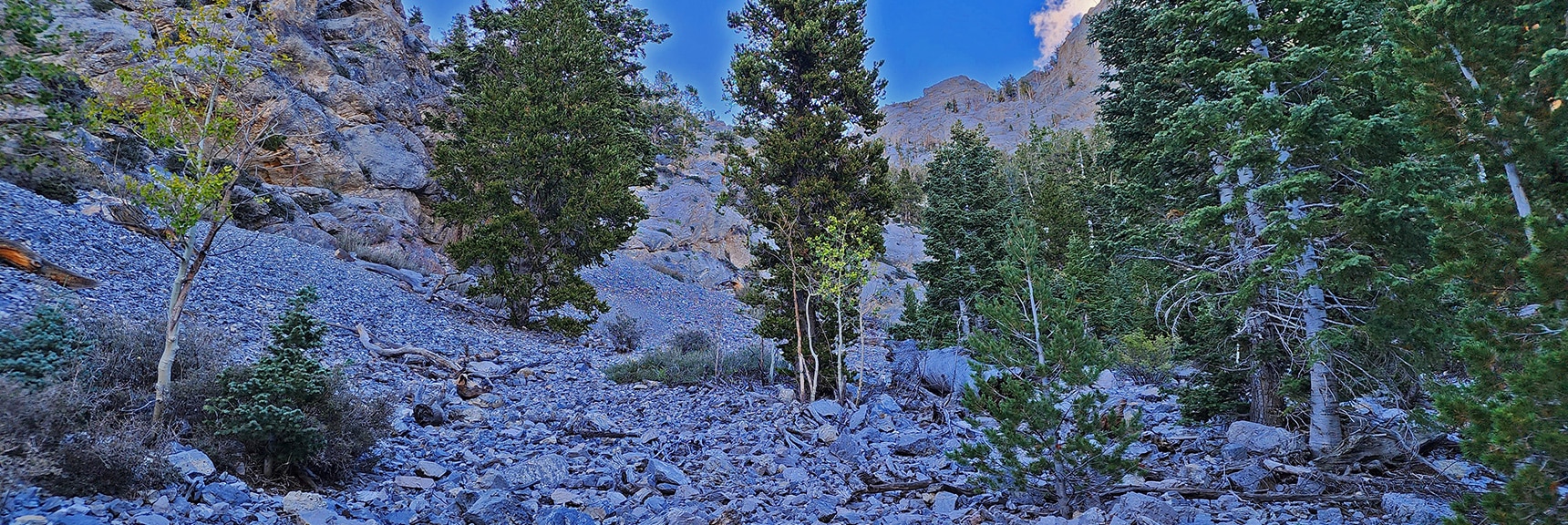 Still, a Beautiful Untouched Forested Area, But Strangely, No Cairns or Trail Markings | Mummy Mountain Head from Lee Canyon Road | Mt Charleston Wilderness | Spring Mountains, Nevada