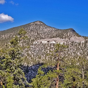 Bonanza Peak via Bristlecone Pine Trail | Mt. Charleston Wilderness | Spring Mountains, Nevada