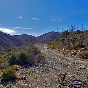 Harris Springs & Harris Mountain Roads | Spring Mountains | Nevada | Off-Road Cycling