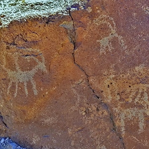 Petroglyph Canyon | Sloan Canyon National Conservation Area, Nevada
