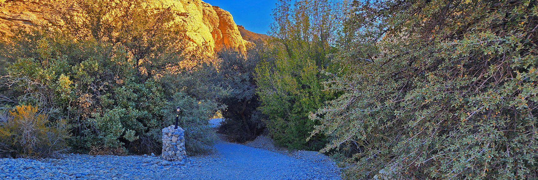 Entering a Magical Forested Climate Zone Leading Into the Calico Tanks Canyon | Calico Tanks | Red Rock Canyon National Conservation Area, Nevada