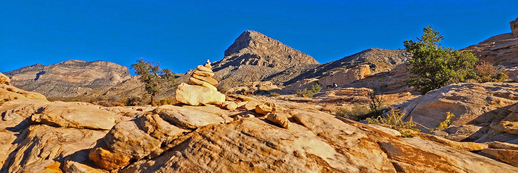 Turtlehead Peak is Often on the Horizon. More Bonsai Trees! | Calico Tanks | Red Rock Canyon National Conservation Area, Nevada
