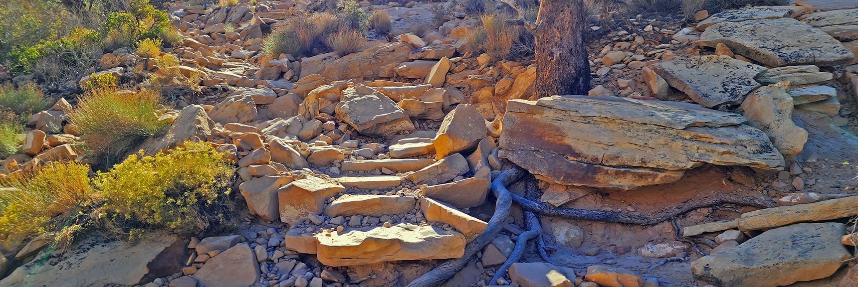 Many of the Inclines Have Sandstone Stairways. | Calico Tanks | Red Rock Canyon National Conservation Area, Nevada