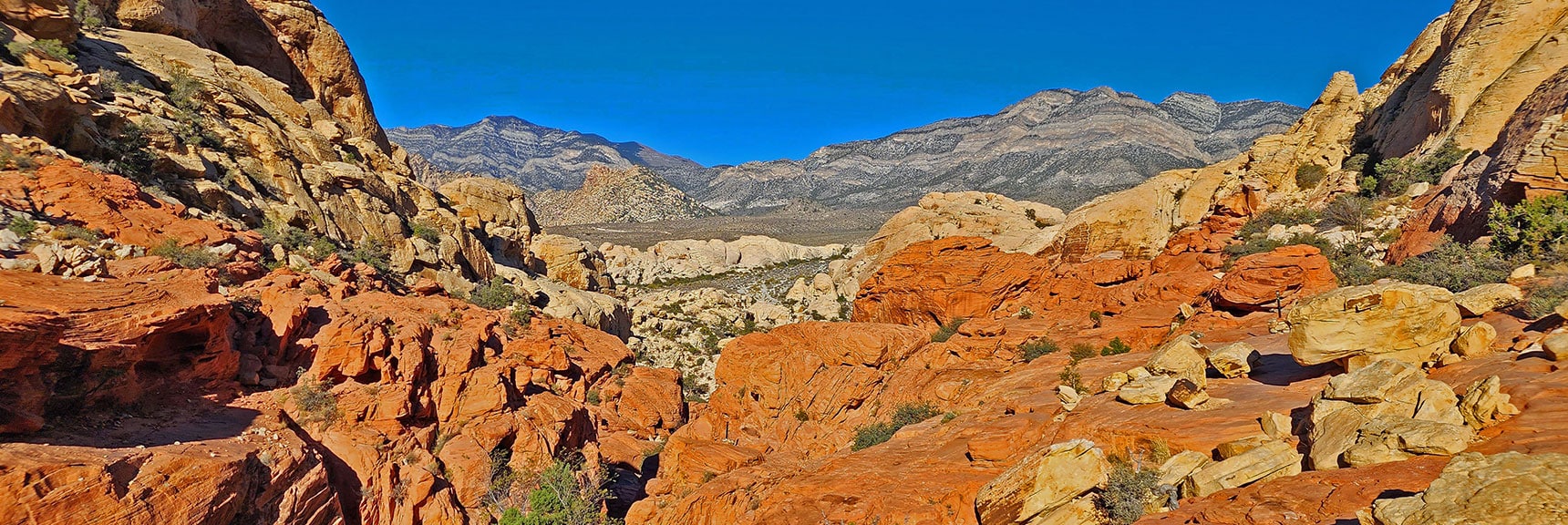 Higher Perspective of the Keystone Thrust Cliffs: El Bastardo Mt. to the Right. | Calico Tanks | Red Rock Canyon National Conservation Area, Nevada